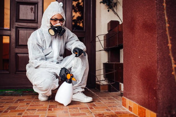 Reliable Cockroach Control contractor in Elk Ridge, UT by Nex Pest Control