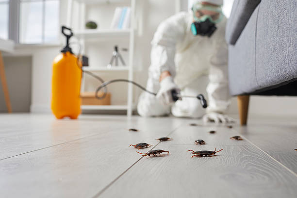 Trusted Rodent Control service in Elk Ridge, UT - Nex Pest Control