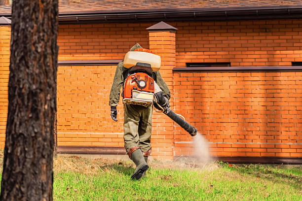 Trusted Bed Bug Control service in Elk Ridge, UT - Nex Pest Control